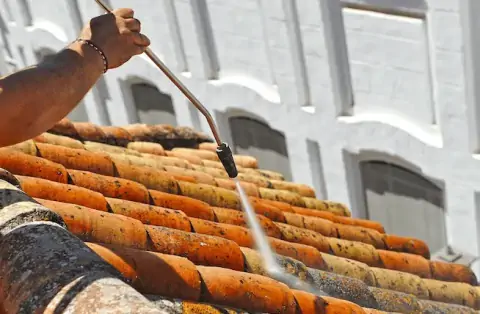 Nettoyage de toitures - Jarrie